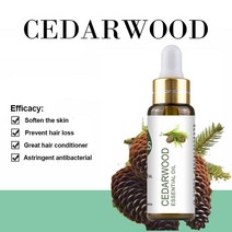 퓨어 천연 라벤더 에센셜 오일 디퓨저 10ml 유칼립투스 레몬 자스민 민트 제라늄 로즈 티 트리 아로마, [01] 10ml, [15] Cedarwood Oil