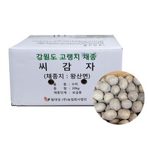 수미씨감자 20kg 강원도 보증종자, 단품