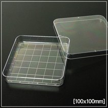 사각 눈금 샬레 페트리디쉬 10P 배양 실험 창의 교재 방과후 교구 과학