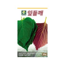 단간종 잎들깨 씨앗 25g 시설재배 연중재배 가능, 단품