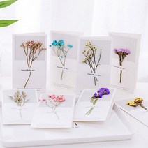 말린꽃카드/드라이플라워 카드/프리저브드플라워 카드*, 레드꽃
