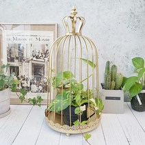 Countryitem자딘 크라운 스탠드 새장 (골드)