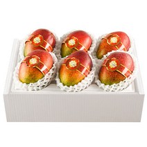 [제주한라농원] 한라산 제주애플망고, 2kg 6수