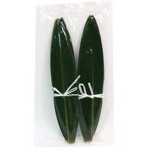 일본직발송 4. 에도가와 물산 중국산 조릿대 잎 100장 SS사이즈 홀 B083JQSHLD, One Size_One Color, One Color, One Size
