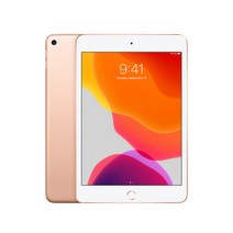 아이패드미니 5세대 64GB 256GB WIFI/LTE 정품, Wi-Fi, 랜덤