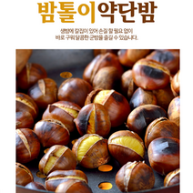 에어프라이어밤 시세 줍기 따기 체험 생율밤 단밤 생밤 약밤 군밤 칼집밤, 5키로