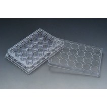 SPL Cell culture plate 24well (50EAbox) 세포배양 30024