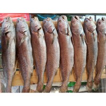 제수용생선 국산민어 35-36cm 생선맛집 싱싱수산