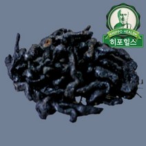 제천약초생활건강 숙지황 250g, 1set, 1개