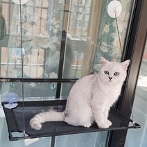 캣해먹 강력흡착 고양이 해먹 창문 부착 메쉬 해먹