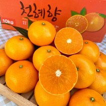하늘이 내린 향기 최상급 제주 천혜향 천해향 천혜양 천애향 가정용 선물세트, 가정용 / 10kg