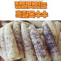 정자농원 농부직송 흑찰옥수수 선별 괴산햇찰옥수수 생물옥수수 맛있는 옥수수, 20개