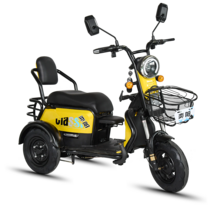 3발 전동차 세발오토바이 전기오토바이 전동3발스쿠터, 48V 23A 배터리 충전기48V