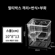 엔젤 알비노풀레드 구피 피쉬 어항 투명 물고기 부화 상자 격리 수조, 2챔버 인큐베이터 상자 산소 충전 배지