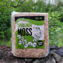 수태 뉴질랜드 75g 150g 500g 토피어리 풍란, 03.뉴질랜드 500g, 1개
