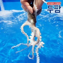 국산 낙지 1마리씩 골라담기, 01_국산 활낙지(소) 1마리 70g내외