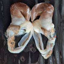 특품 남당항 손질 새조개 샤브샤브 세트(1kg 실중량 200-250g 내외), 선택안함, 1kg(200-250g 내외)