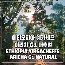(커피생두) 20 에티오피아 예가체프 아리차 G1 내추럴 1kg, 1개