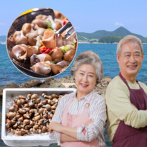 동해안 포항 구룡포 백골뱅이 생물 활 생 통골뱅이 백고동 급냉 냉동 흑고동 냉동 소 중 대 자연산 1kg 2kg 3키로, 백고동 소, 1개