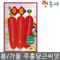 주홍 당근씨앗 4g, 주홍당근씨앗