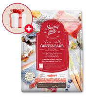 선데이펫 젠틀베이크 오븐베이크 연어1.3kg 강아지사료, 단품, 단품