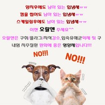 오랄앤36g 강아지 고양이 구내염 치주염 완화 입냄새 제거 면역증진 신개념 오랄가드(12시 이전 당일 출고), 오랄앤2박스(60개)+오랄앤6p