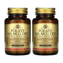솔가 엽산 400mcg 250정 2병 Solgar Folate