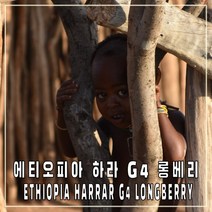 (커피생두) 148 에티오피아 하라 롱베리 G4 1kg
