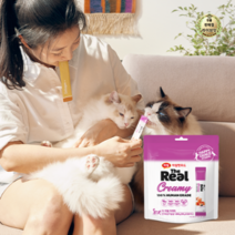 라이브잇 하림더리얼 고양이 크리미 파우치 10g x 25p, 2개, 250g, 연어 + 닭고기 혼합맛