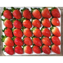 설향 딸기 500g 700g 논산 담양 죽향 킹스베리, 논산설향