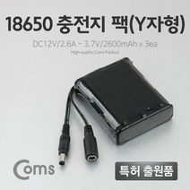 Coms 18650 충전지 팩Y자형 DC12V×980nD, 본상품선택, 본상품선택