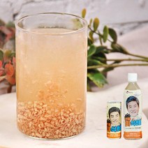 푸르젠 [푸르젠] 안동마 전통식혜 500ml PET 5병, 1