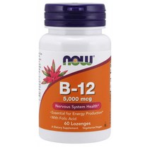 나우푸드 비타민 B12 5000mcg +엽산 60로젠지 NOW Vitamin B12 Folic Acid