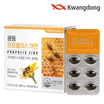 광동생활건강 광동프로폴리스아연 6박스 12개월 플라보노이드, 상세 설명 참조, 단일옵션