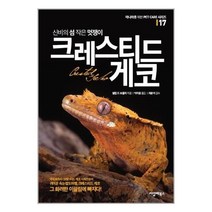 유니오니아시아 신비의 섬 작은 멋쟁이 크레스티드 게코 씨밀레북스