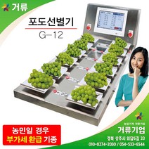 포도선별기 샤인머스켓 선별기 당도계 거류