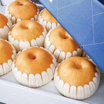 [농부마음] 나주 산지직송 나주 꿀 배 3kg 5kg 7.5kg 15kg 명절 과일 선물용 & 가정용 햇배 신고배 선물 세트, 1box, 가정용 15kg 26-30과