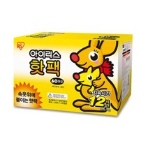 [당일발송] 코스트코 아이리스 의류 부착용 핫팩 40g x 60개