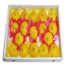 제주직송 황금향 선물용, 황금향 선물용 5kg, 1개