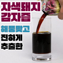 팜티비 진하게 추출한 자색 돼지감자즙 엑기스 진액, 100g, 60개
