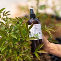 유안재 어성초추출물 원액 약산성 등드름 미스트 490g, 1개, 500ml