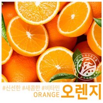 고가유통 썬키스트/퓨어스펙 고당도 블랙라벨 오렌지, 고당도 블랙라벨 대과(10과)