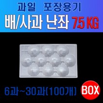과일포장용 난좌 (배/사과), 23과, 100개