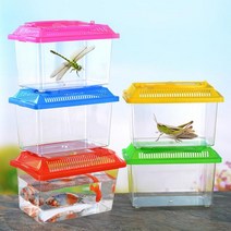 [CDS-212]곤충 채집통 소 대 관찰통 어항 다슬기 보관 케이스, 2-곤충채집통-대