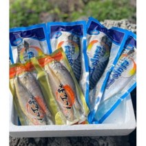 제주직송 제주 서귀포 갈치 제주수산물 제주산 은갈치 손질갈치 통옥돔 참조기 은갈치+참조기 참조기+고등어 세트 선물세트, 6 참조기 4마리+고등어 4팩