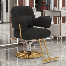 미용실 의자 이발소 메이크업 높낮이 리프트 회전 특수의자 등받이, 공식 표준, 블랙 골드, 1개