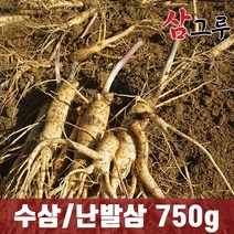 금산인삼 5년근 6년근 수삼 난발삼 원수삼 세척무료 750g 1채, 2.세척-난발 중 750g 12-15뿌리