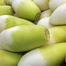 해풍 맞고 자란 노지 제주 월동무 (대용량) [원산지