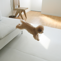 폭신한 강아지미끄럼방지매트 팻매트 반려견장판 개매트 논슬립 140cm, 모던크림