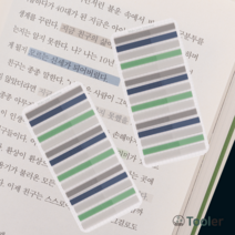 [tooler] 툴러 미니 스모키 플래그